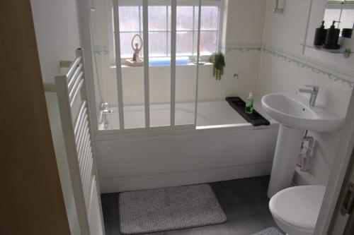 史云顿Luxury apartment in Swindon town centre -sleeps 4的带淋浴、卫生间和盥洗盆的浴室