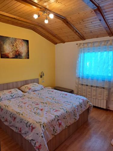 SlapPenzion Na Hribu的一间卧室设有一张床和一个窗口