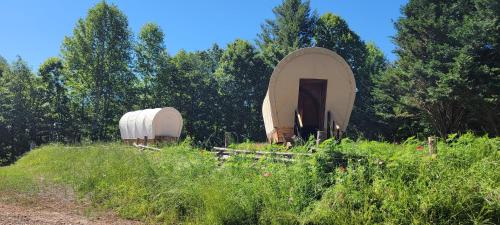 勒诺Covered Wagons Hill Camp - WAGON 1的树田里的几个帐篷