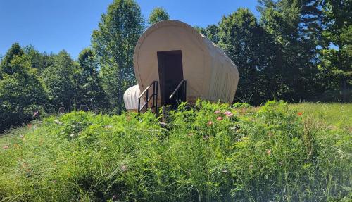 勒诺Covered Wagons Hill Camp - WAGON 1的树木繁茂的田野上的一个小圆顶帐篷