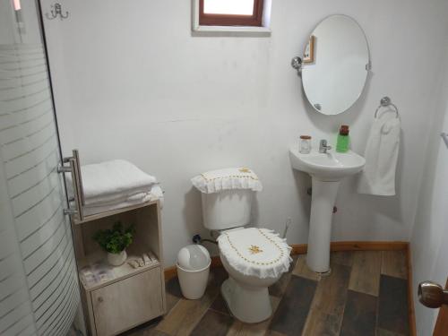 兰卡瓜Domo, tinaja El Rulo Coinco的一间带卫生间、水槽和镜子的浴室