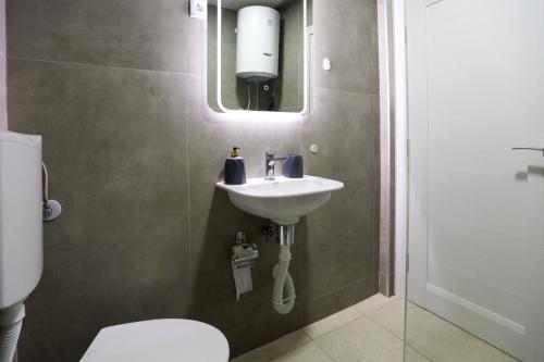 SurčinAirport Stay Apartments的一间带水槽、卫生间和镜子的浴室