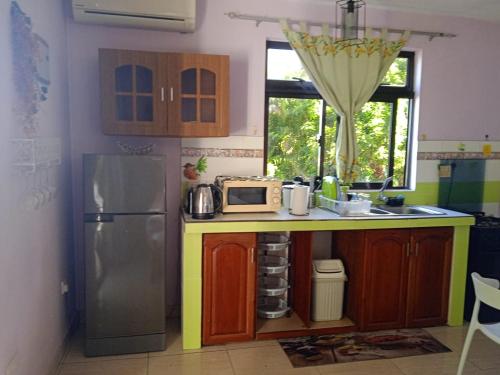 维多利亚Anne Hillside Apartment的厨房配有微波炉和冰箱。
