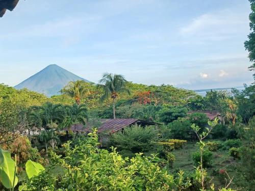 BalgueFinca Magdalena Eco Lodge的远处的山,有房子和树木