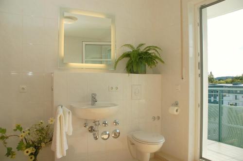 雷根斯堡BTT服务式公寓酒店的一间带水槽、卫生间和镜子的浴室