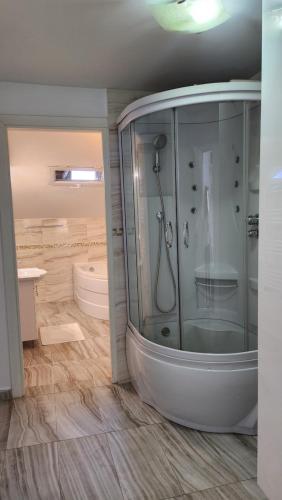 锡比乌Piazza Grande Apartment的带淋浴的浴室和玻璃门