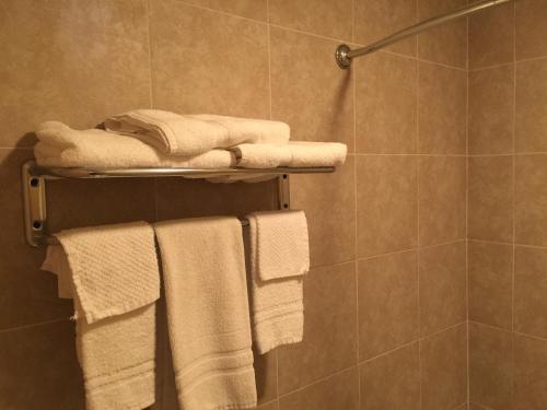 圣罗伯圣罗伯特经济酒店 的浴室提供毛巾架上的白色毛巾
