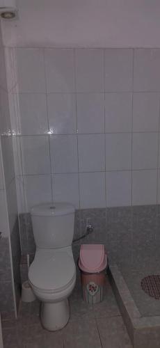 塞萨洛尼基House of Artemis F in Asptovalta的一间位于客房内的白色卫生间的浴室