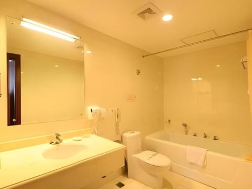 北京Beijing Ruyi Business Hotel的一间带水槽、卫生间和镜子的浴室