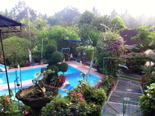PalasariPuri Eling Blimbingsari Hotel的拥有植物和树木的游泳池的度假酒店