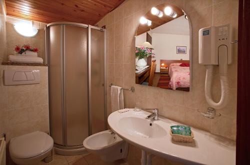 阿尔塔泰尔梅Albergo Miramonti的带淋浴、盥洗盆和卫生间的浴室