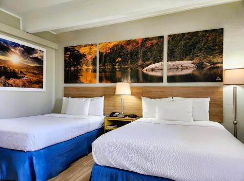 丹佛戴斯丹佛市中心酒店的两张床铺,位于酒店客房,墙上挂有绘画作品