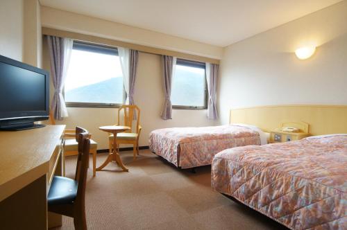 德岛德岛阳光酒店的酒店客房设有两张床和一台平面电视。