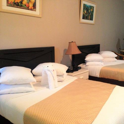圣费尔南多The Royal Hotel的酒店的客房 - 带2张带白色枕头的床