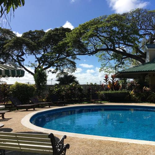 圣费尔南多The Royal Hotel的一座带两个长椅和一棵树的游泳池