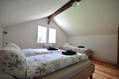 施特歇尔贝格瀑布木屋的一间卧室设有两张床和窗户。