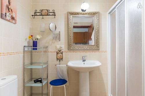拉拉古纳Apartamento La Higuera的一间带水槽和镜子的浴室