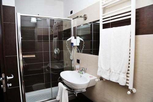甘吉米拉蒙蒂酒店的一间带水槽和淋浴的浴室