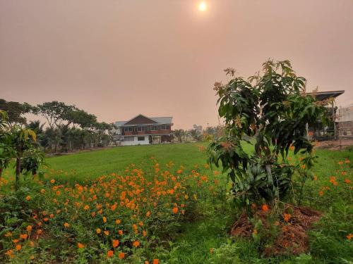 南邦Jira Hotel เรือนรับรอง的花田,有房子在后面