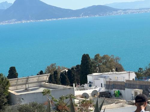 La perle sidi bou said平面图