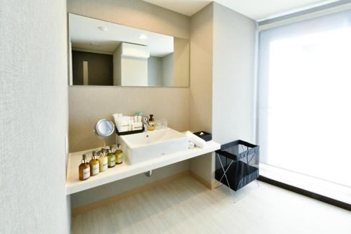 东京ENT TERRACE AKIHABARA的一间带水槽和镜子的浴室