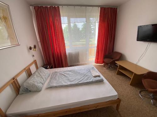 希欧福克Aranypart Hostel的一间卧室配有一张床、一张书桌和红色窗帘