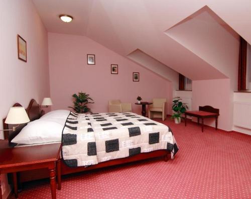 贝内绍夫科诺皮什切度假村酒店的阁楼上的卧室配有一张大床
