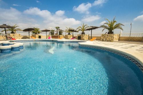 罗哈莱斯Hotel Costa Blanca Rojales的一座拥有蓝色海水和棕榈树的大型游泳池