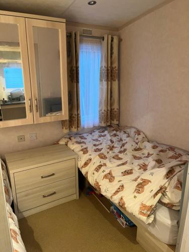 BryntegTy Newydd Caravan Park的一间小卧室,配有一张床和一个梳妆台