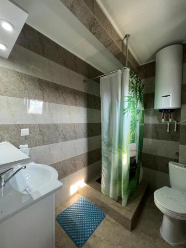 茹里洛夫卡Casa Lebăda的带淋浴、卫生间和盥洗盆的浴室