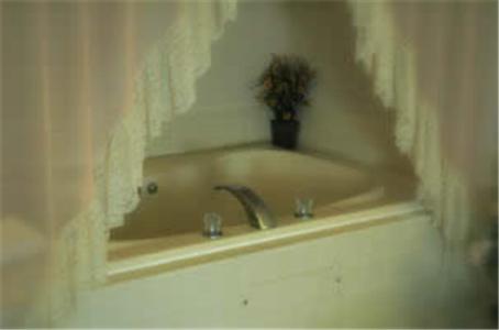 Willmar湖景酒店的浴缸内有植物,设有水槽