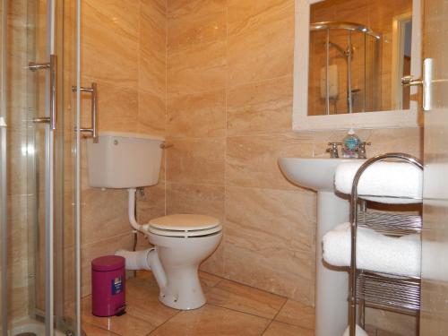 伦敦德里Abercorn House的一间带卫生间和水槽的浴室