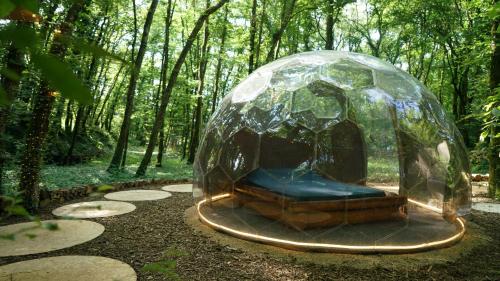 ParmilieuÔ Pays Des Bois - Hébergements insolites en pleine nature的森林中间的玻璃 ⁇ 瓜卧室