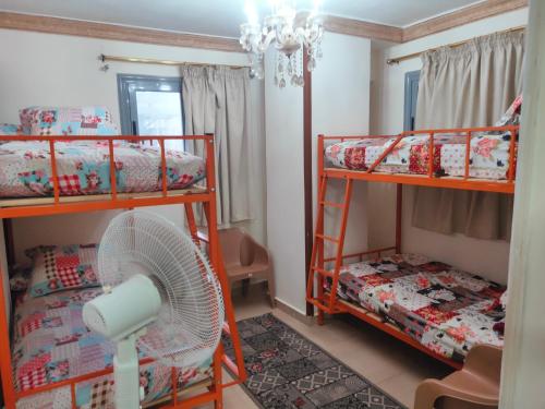 Youth Palace Hostel هوستل قصر الشباب客房内的一张或多张床位