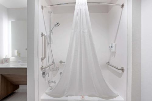Mountain GroveComfort Inn & Suites US-60的浴室内配有淋浴帘。