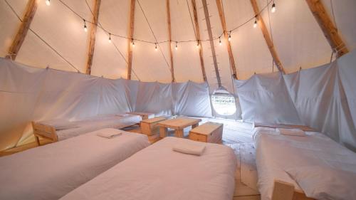 BęczynMoon Glamping Resort的帐篷内带4张床的房间,配有灯