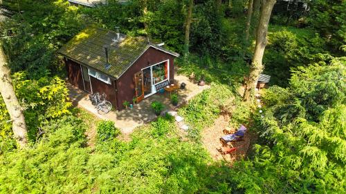 埃尔默洛Cozy Tiny House between Veluwe en Veluwemeer - with free use of bikes的森林中小屋的顶部景色