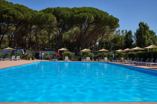 卡帕尔比奥Costa D'Argento - Camping Village Club Capalbio的一个带椅子和遮阳伞的大型游泳池
