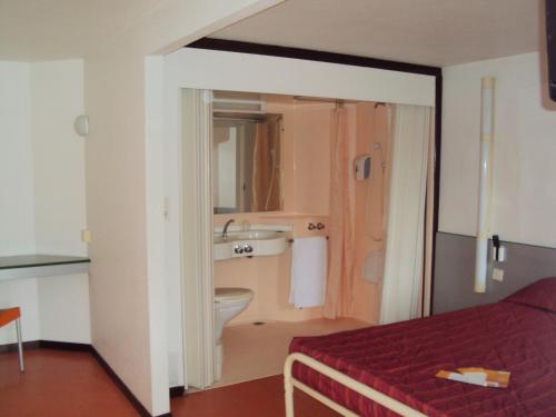 埃皮纳勒埃皮纳勒普瑞米尔经典酒店的客房设有带水槽的浴室和一张床