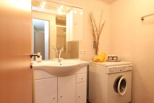 Tumpen奥兹公寓的一间带水槽和洗衣机的浴室