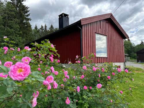 Cabin with great view close to town and ski area平面图