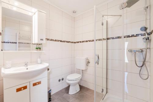 博维茨Apartmaji Mausi的浴室配有卫生间、淋浴和盥洗盆。