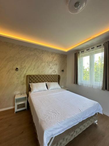 SurčinApartman Igor的一间卧室设有一张大床和一个窗户。