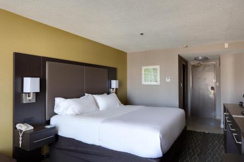 萨德伯里萨德伯里假日酒店的酒店客房设有一张大床和一间浴室。