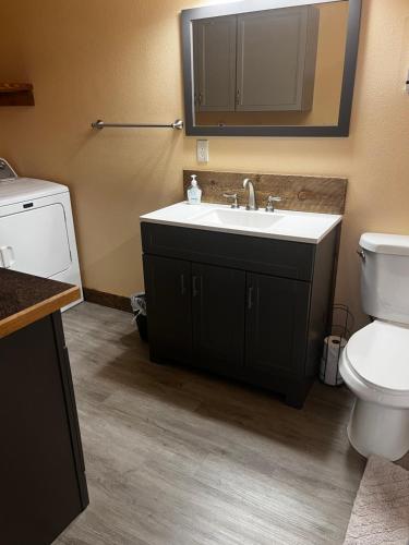 加德纳ParkWay Yellowstone Guest House #7的一间带水槽、卫生间和镜子的浴室