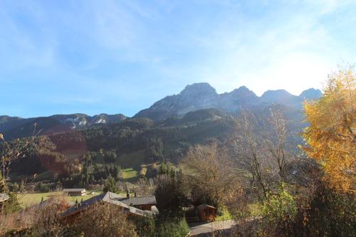 格施塔德Les Jumelles的享有山谷的背景山景。