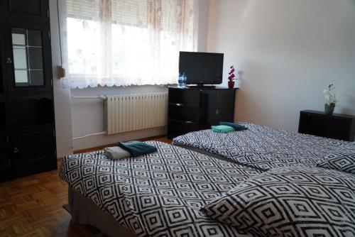 波兹南Noclegi Room Odlot Ławica 24h的一间卧室配有两张床和电视。