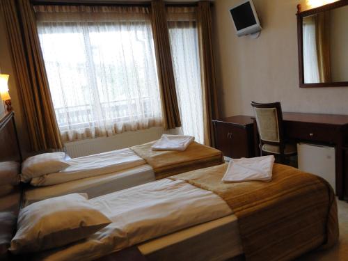 班斯科灿恩叔叔旅馆的配有窗户的酒店客房内的两张床