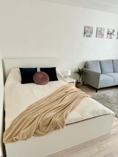 Tõrvandi Cozy Apartment平面图