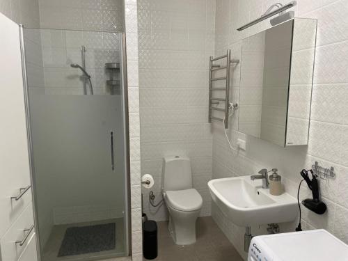 里加Valentine's 2 apartment Riga的浴室配有卫生间、盥洗盆和淋浴。